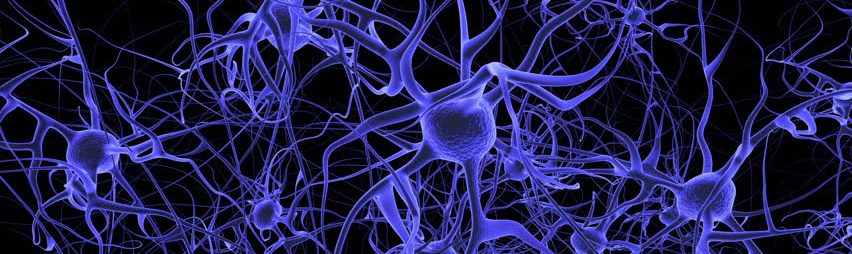 Plasticidad Cerebral Dra. Masmudi y el Dr. Khan
