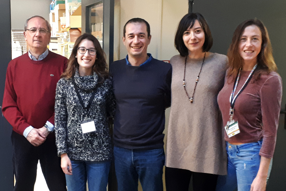 grupo de investigación del Instituto de Investigaciones Biomédicas “Alberto Sols” de Madrid (CSIC-UAM,CIBERONC) colonia de bacterias sanas o sin estar en contacto con la zeolitas con Ag